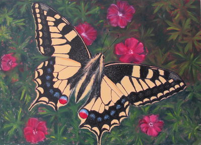 Swallowtail
Oil on canvas, 100x80
Keywords: swallowtail