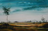 Filename=Mayo_Landscape.JPG
Filesize=207KiB
Dimensions=906x594
Date added=Dec 14, 2005 Mayo_Landscape.JPG