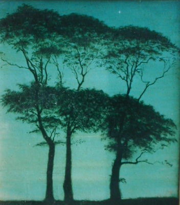 3 Trees
Oil on canvas
