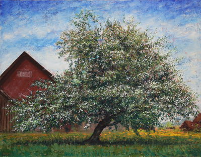 Apple Tree in Spring, Ricketwil
Oil on canvas, 90x70 cm 
Keywords: Ricketwil birdsall