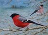 Filename=Bullfinches.jpg
Filesize=530KiB
Dimensions=3742x2805
Date added=Nov 14, 2020 Bullfinches.jpg