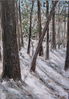 Filename=Cam_fotos_march_07_050.jpg
Filesize=1261KiB
Dimensions=1258x1801
Date added=May 08, 2008 Cam_fotos_march_07_050.jpg