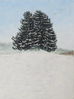 Filename=IMG_6046.jpg
Filesize=1732KiB
Dimensions=2501x3335
Date added=Jan 26, 2013 IMG_6046.jpg